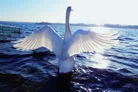 Őszikék-Télikék illusztráció, 13. oldal